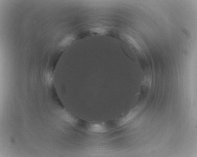 X0000115340285200911231439