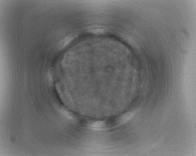 X0000115340288200911231439