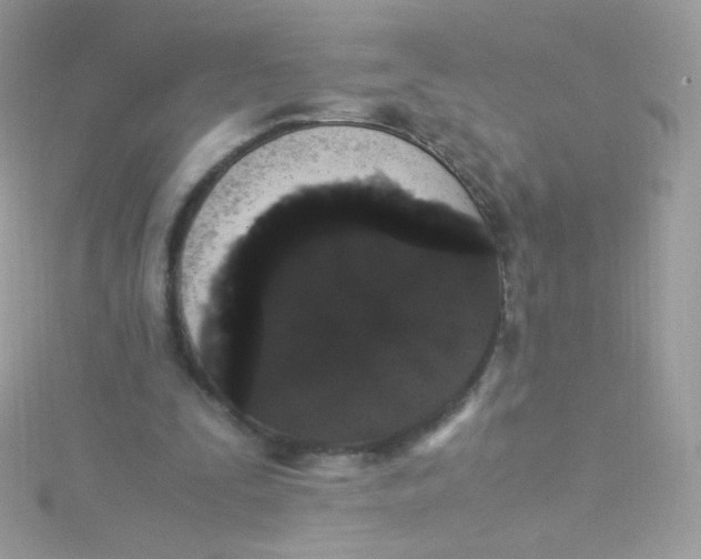 X0000115340295200911231439