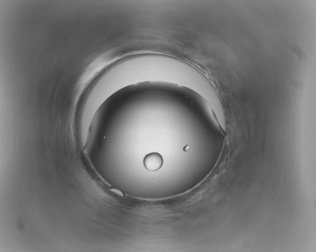 X0000115340296200911231439