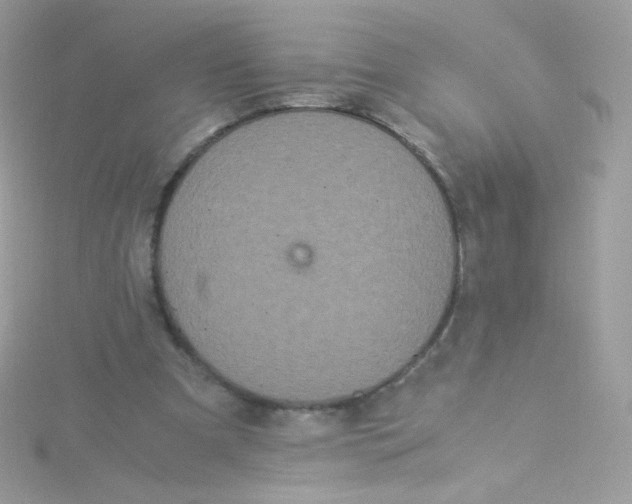 X0000115340297200911231439