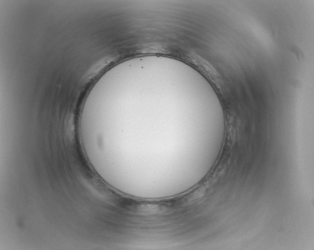 X0000115340298200911231439