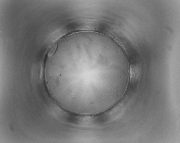 X0000115340301200911231439