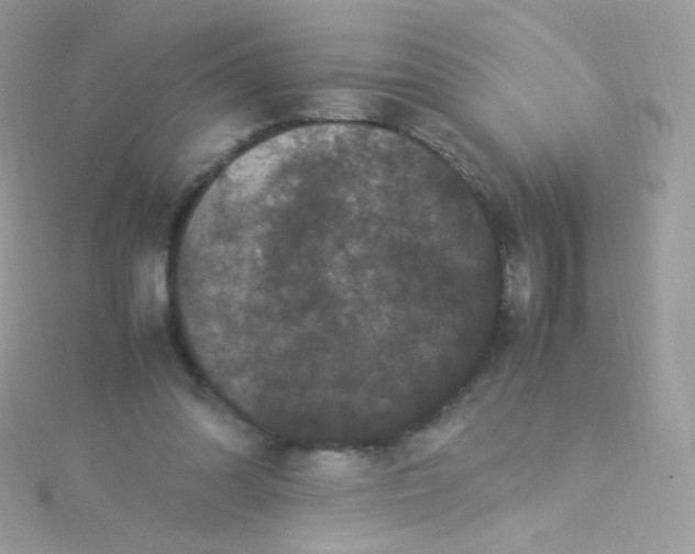 X0000115340302200911231439