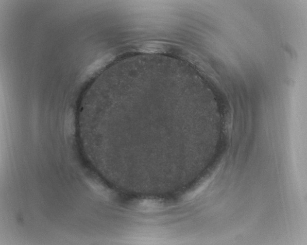 X0000115340303200911231438