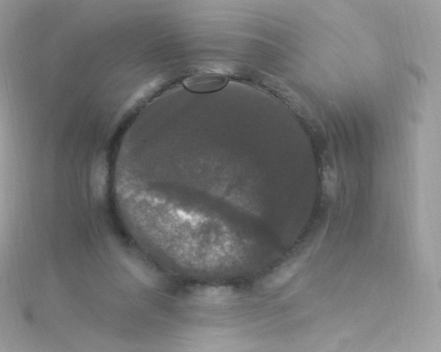 X0000115340304200911231438