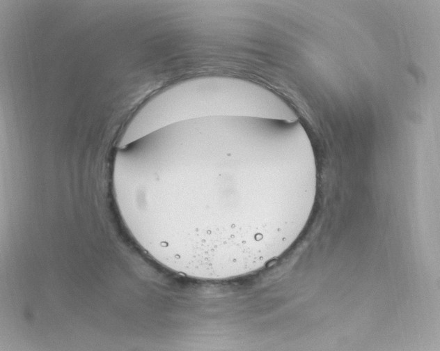 X0000115340305200911231438