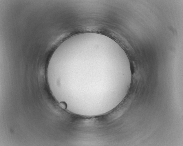 X0000115340306200911231438