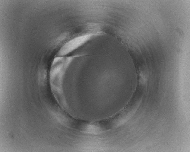 X0000115340308200911231438