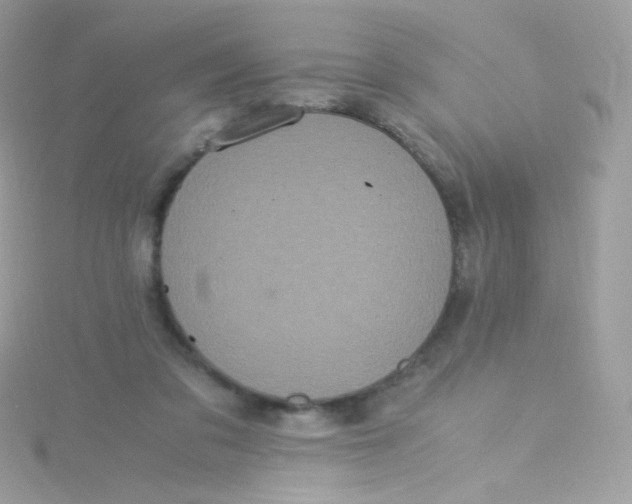 X0000115340309200911231438