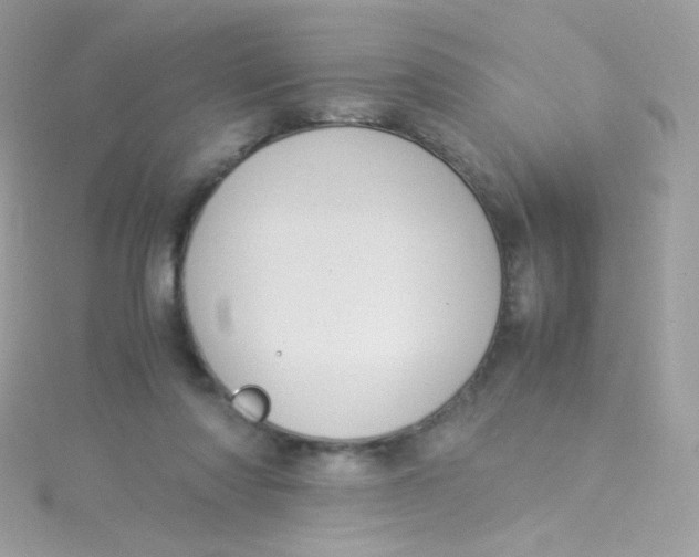 X0000115340310200911231438