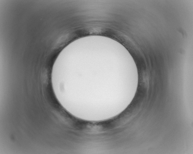 X0000115340311200911231438