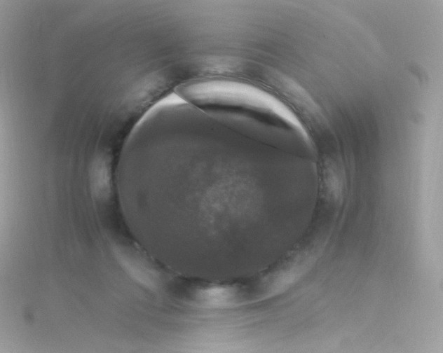 X0000115340312200911231438