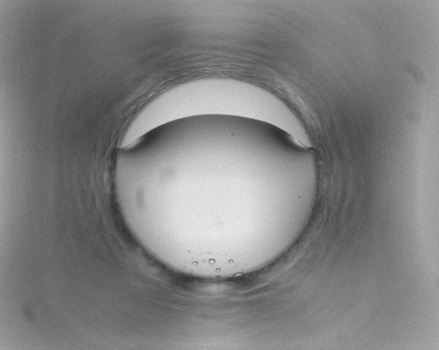 X0000115340313200911231438