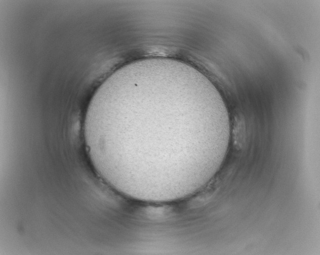 X0000115340314200911231438