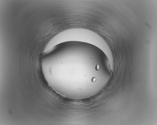 X0000115340317200911231438