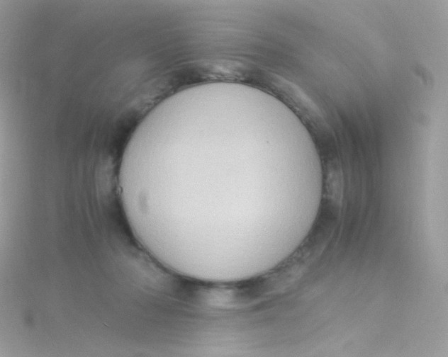 X0000115340318200911231438