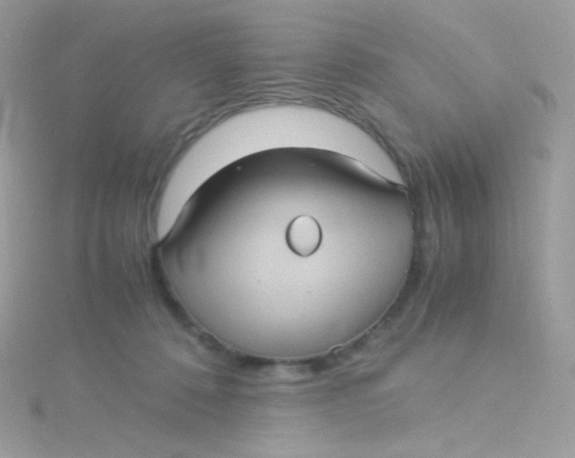 X0000115340320200911231438