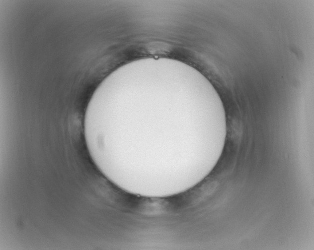 X0000115340321200911231438