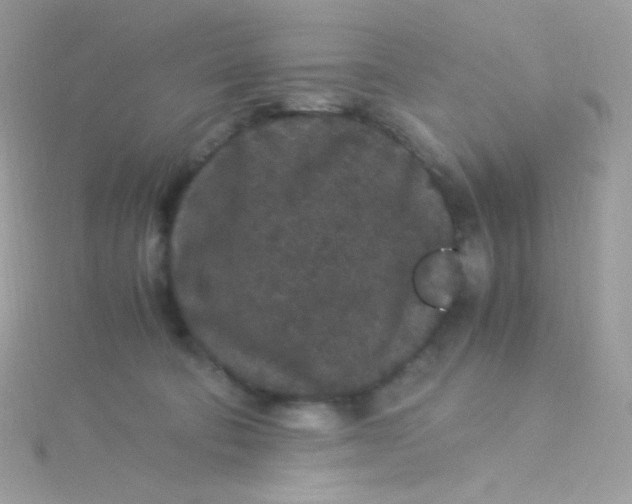 X0000115340322200911231438