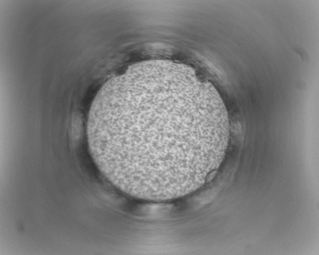 X0000115340323200911231438