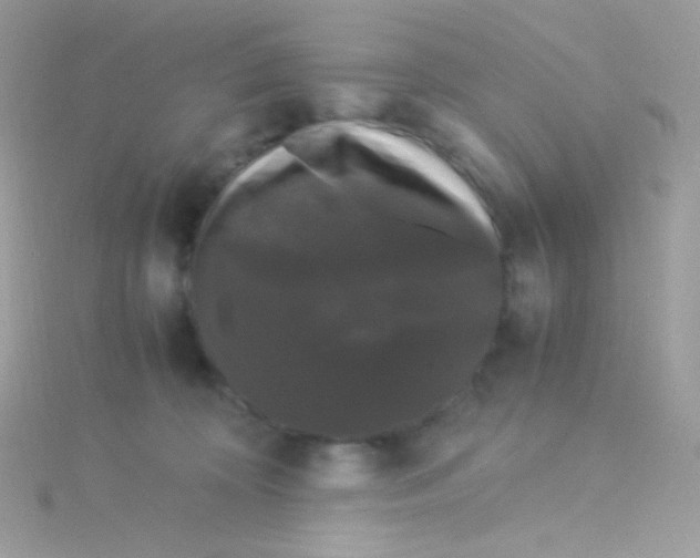 X0000115340324200911231438