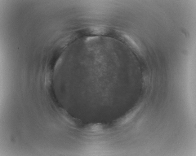 X0000115340325200911231438