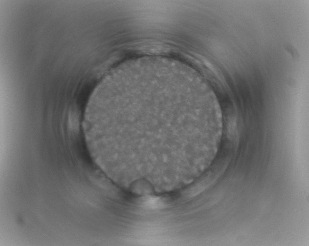 X0000115340326200911231438