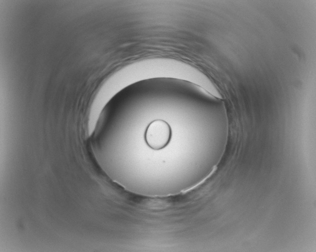 X0000115340327200911231438