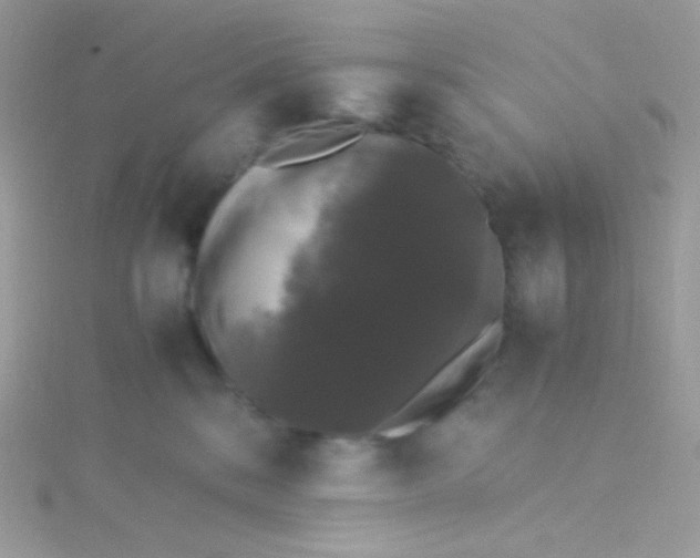 X0000115340328200911231438