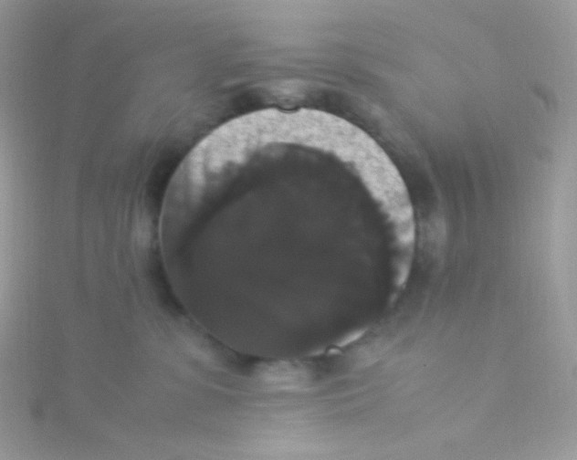 X0000115340331200911231438