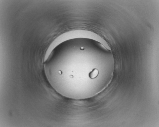 X0000115340332200911231438