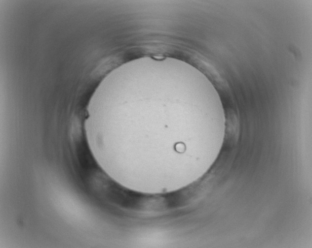 X0000115340333200911231438