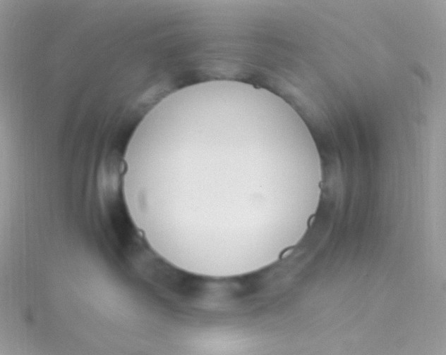 X0000115340334200911231438