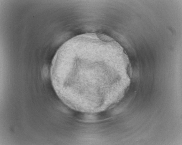 X0000115340335200911231438