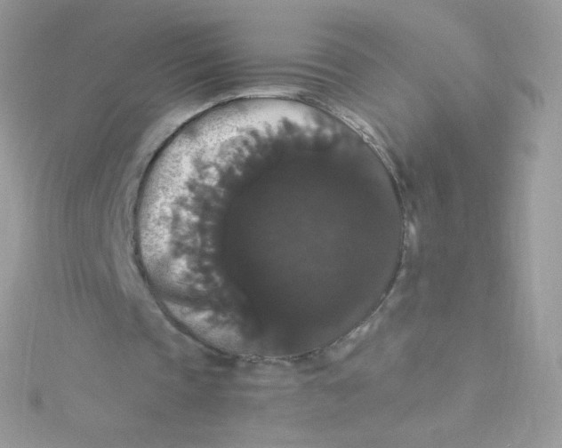 X0000115340337200911231437