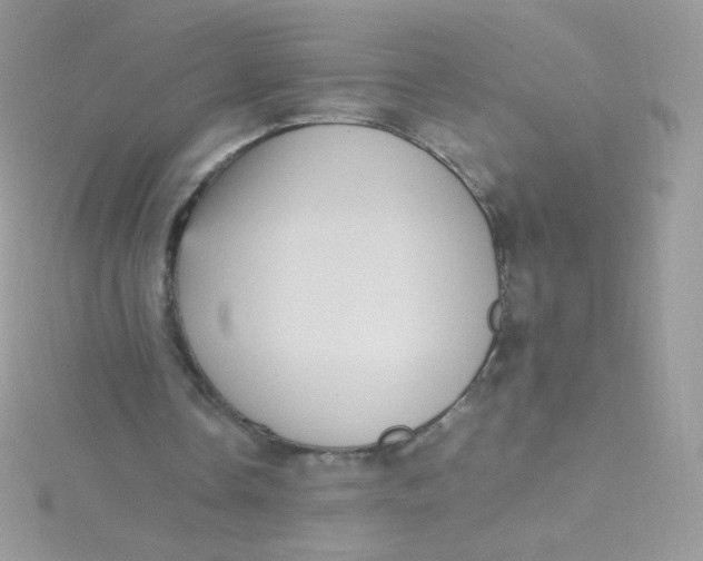 X0000115340338200911231437