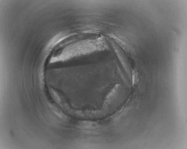 X0000115340339200911231437