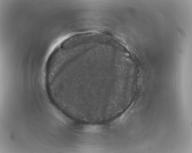 X0000115340342200911231438