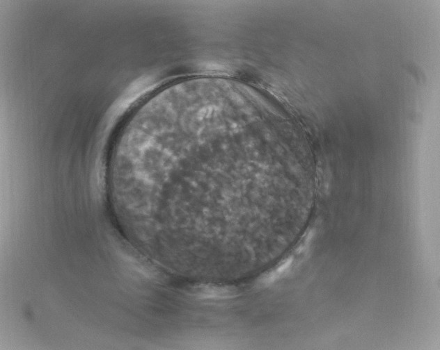 X0000115340343200911231438