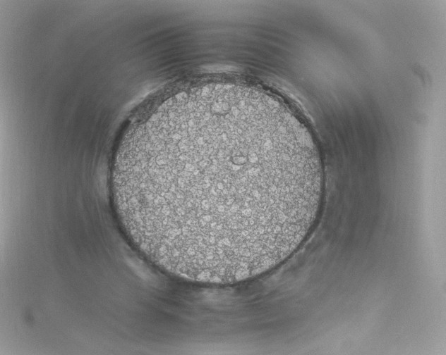 X0000115340345200911231438