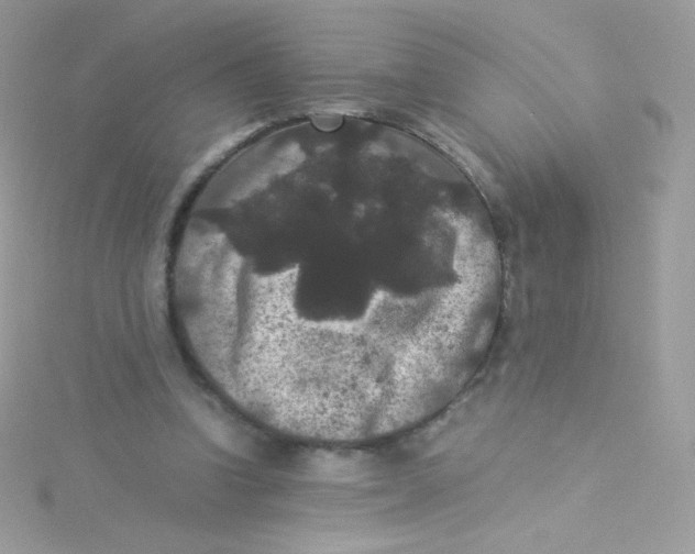 X0000115340346200911231438