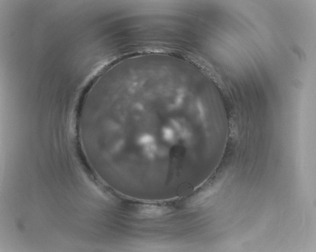 X0000115340347200911231438