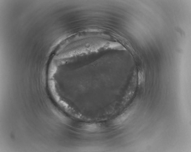 X0000115340349200911231438