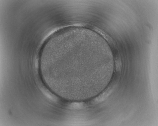 X0000115340350200911231438