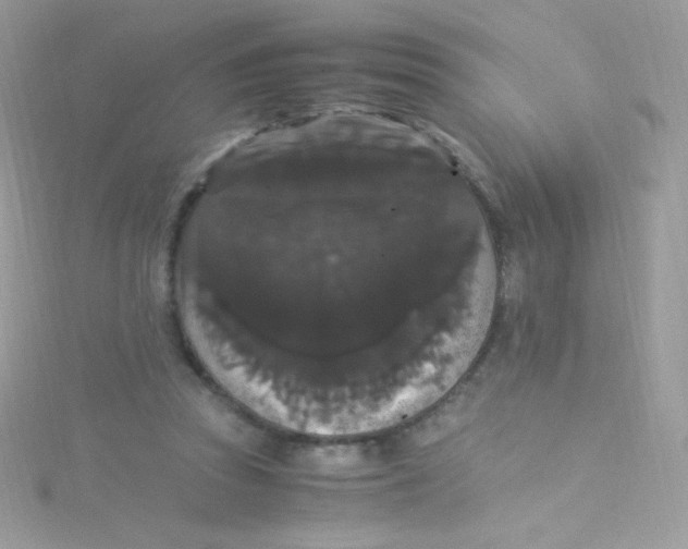 X0000115340353200911231438