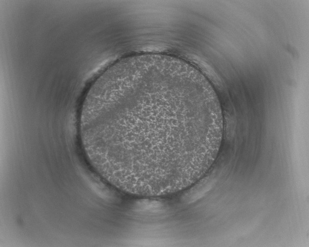 X0000115340354200911231438