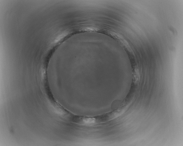 X0000115340355200911231438