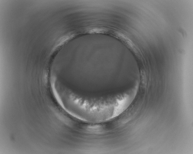 X0000115340357200911231438