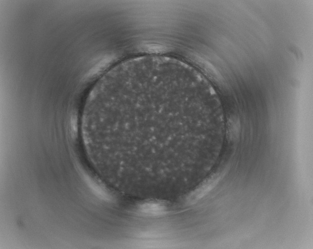 X0000115340358200911231438